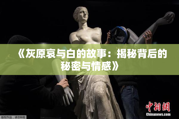 《灰原哀与白的故事：揭秘背后的秘密与情感》