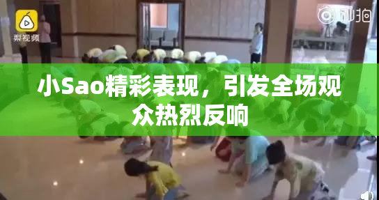 小Sao精彩表现，引发全场观众热烈反响