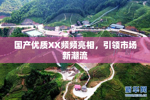 国产优质XX频频亮相，引领市场新潮流