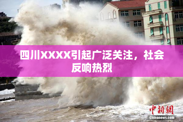 四川XXXX引起广泛关注，社会反响热烈