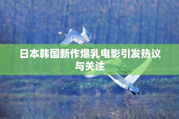 日本韩国新作爆乳电影引发热议与关注