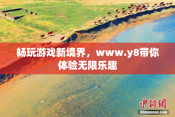 畅玩游戏新境界，www.y8带你体验无限乐趣