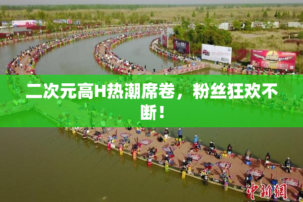 二次元高H热潮席卷，粉丝狂欢不断！