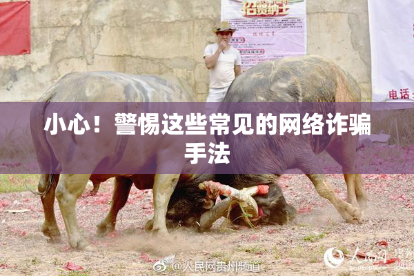 小心！警惕这些常见的网络诈骗手法