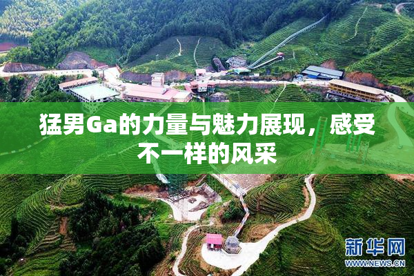 猛男Ga的力量与魅力展现，感受不一样的风采