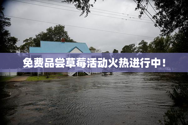 免费品尝草莓活动火热进行中！