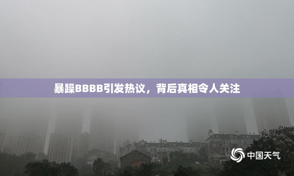 暴躁BBBB引发热议，背后真相令人关注