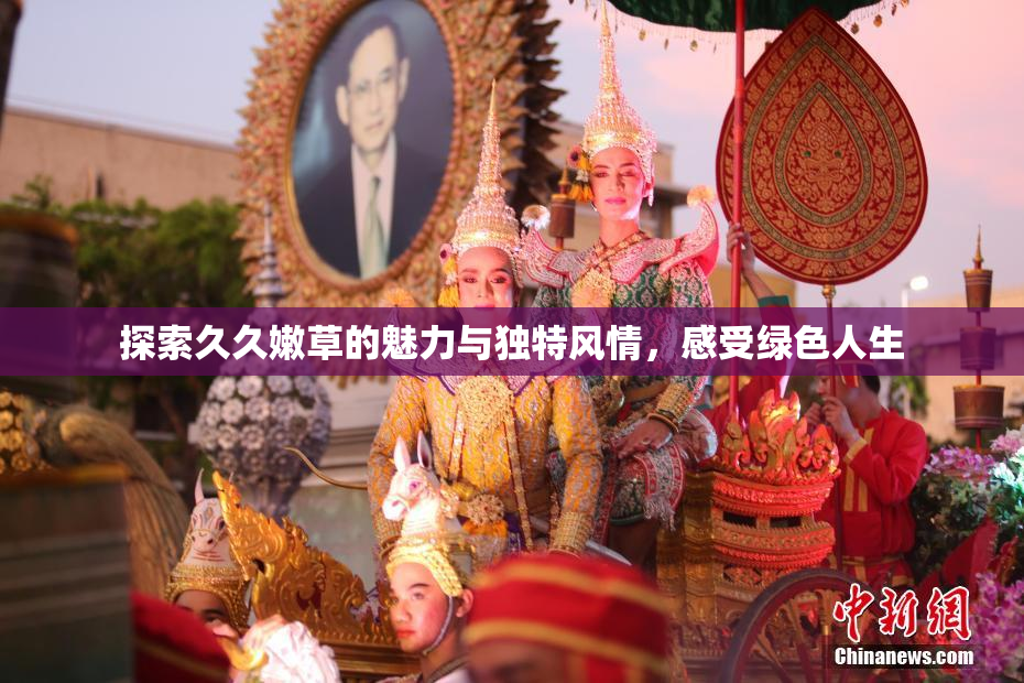 探索久久嫩草的魅力与独特风情，感受绿色人生