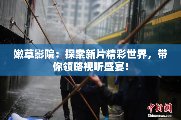 嫩草影院：探索新片精彩世界，带你领略视听盛宴！