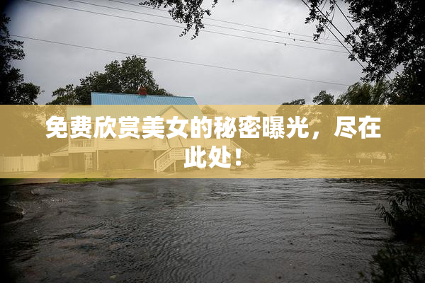 免费欣赏美女的秘密曝光，尽在此处！