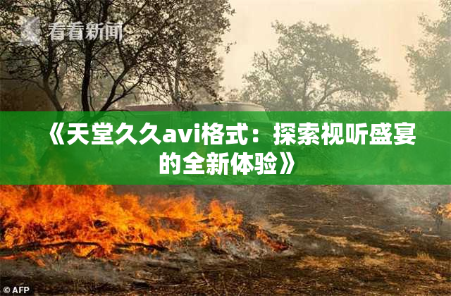 《天堂久久avi格式：探索视听盛宴的全新体验》