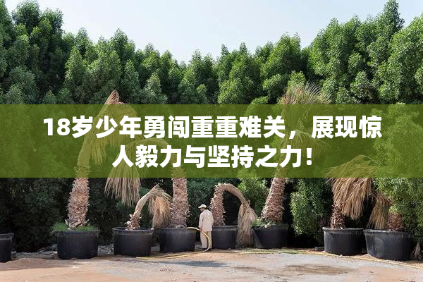 18岁少年勇闯重重难关，展现惊人毅力与坚持之力！