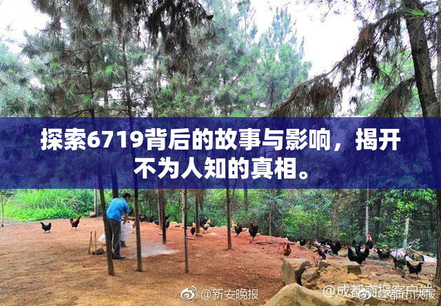 探索6719背后的故事与影响，揭开不为人知的真相。