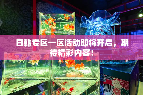 日韩专区一区活动即将开启，期待精彩内容！