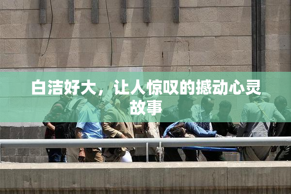 白洁好大，让人惊叹的撼动心灵故事