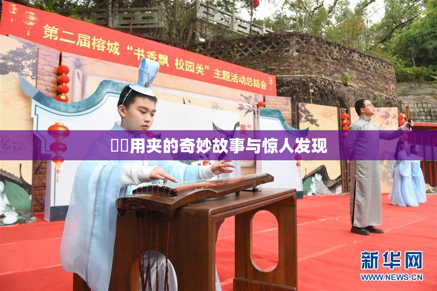 妺妺用夹的奇妙故事与惊人发现