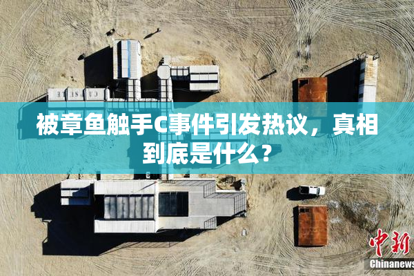 被章鱼触手C事件引发热议，真相到底是什么？