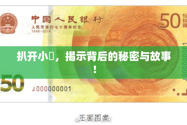 扒开小泬，揭示背后的秘密与故事！