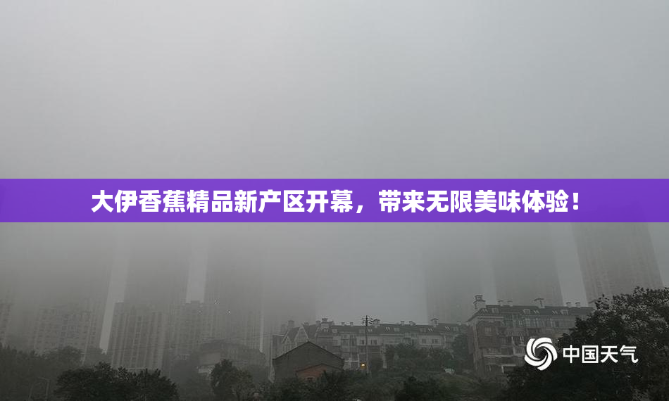 大伊香蕉精品新产区开幕，带来无限美味体验！