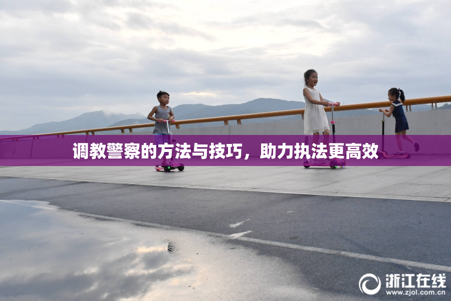 调教警察的方法与技巧，助力执法更高效