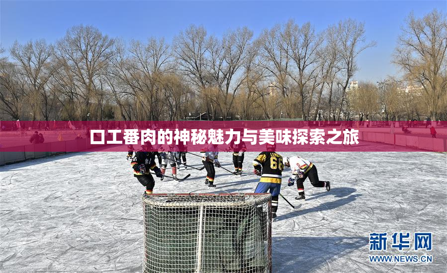 口工番肉的神秘魅力与美味探索之旅