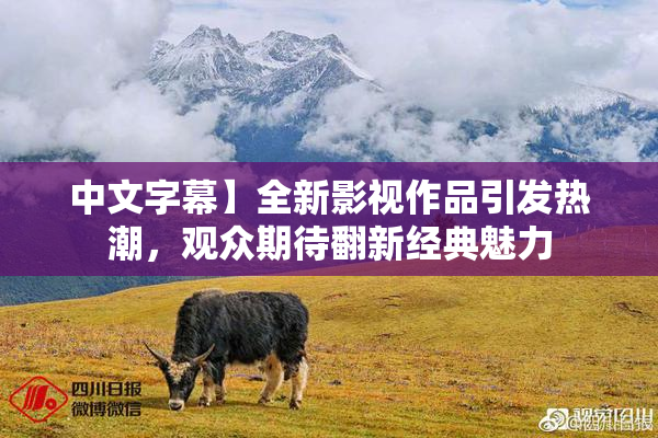 中文字幕】全新影视作品引发热潮，观众期待翻新经典魅力
