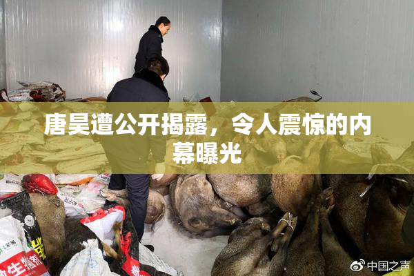 唐昊遭公开揭露，令人震惊的内幕曝光