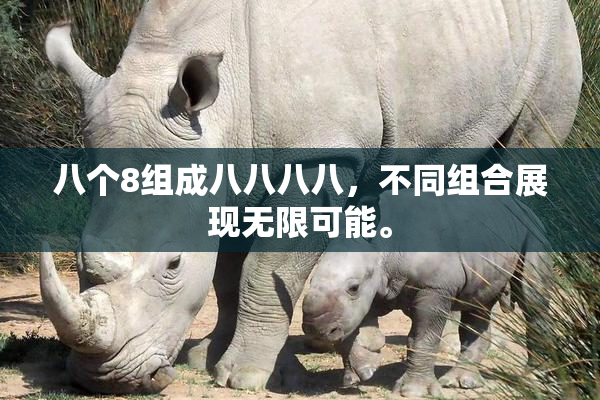 八个8组成八八八八，不同组合展现无限可能。