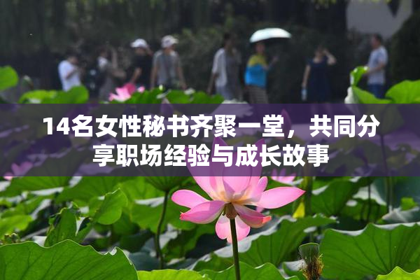 14名女性秘书齐聚一堂，共同分享职场经验与成长故事