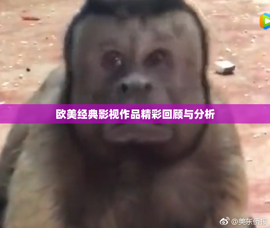 欧美经典影视作品精彩回顾与分析