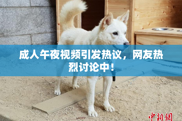成人午夜视频引发热议，网友热烈讨论中！