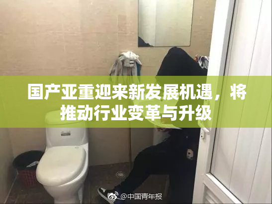 国产亚重迎来新发展机遇，将推动行业变革与升级
