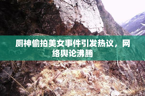 厕神偷拍美女事件引发热议，网络舆论沸腾