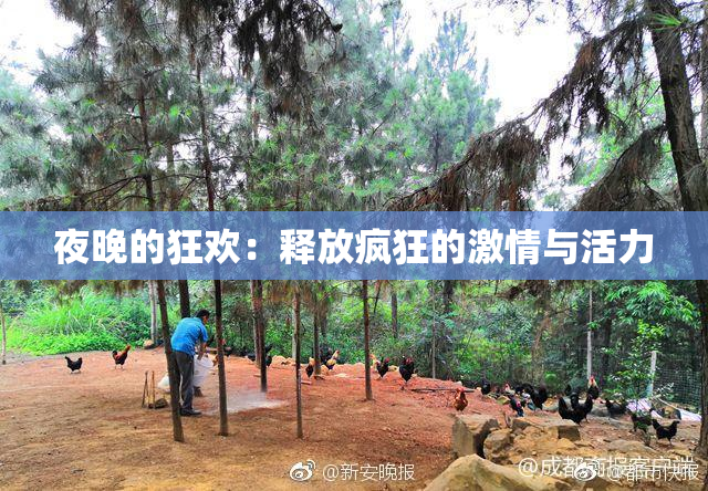 夜晚的狂欢：释放疯狂的激情与活力