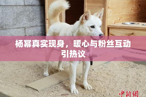 杨幂真实现身，暖心与粉丝互动引热议