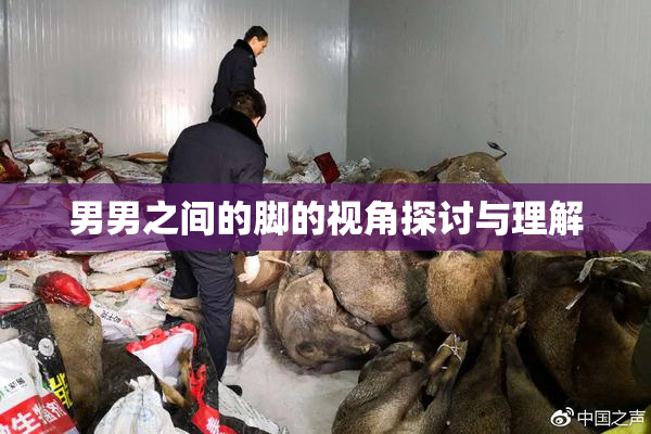 男男之间的脚的视角探讨与理解