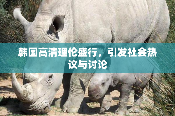 韩国高清理伦盛行，引发社会热议与讨论