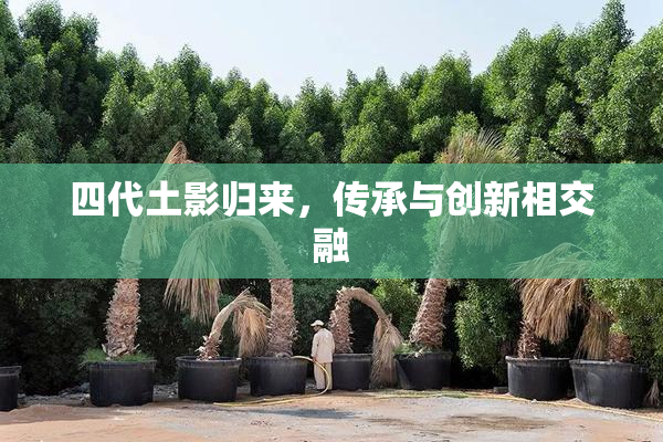 四代土影归来，传承与创新相交融