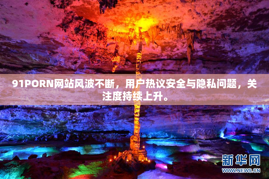 91PORN网站风波不断，用户热议安全与隐私问题，关注度持续上升。
