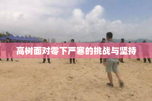 高树面对零下严寒的挑战与坚持