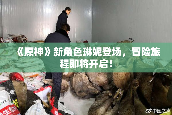 《原神》新角色琳妮登场，冒险旅程即将开启！