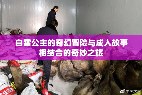 白雪公主的奇幻冒险与成人故事相结合的奇妙之旅