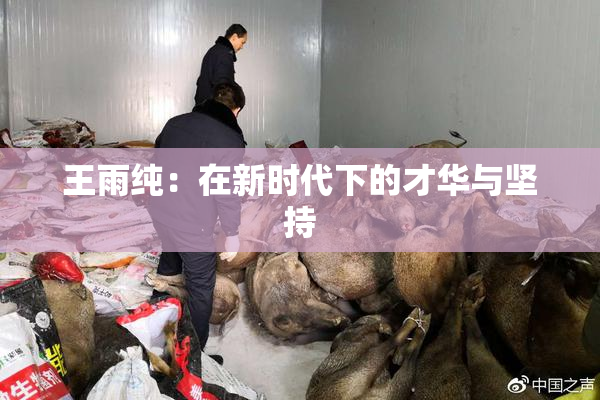 王雨纯：在新时代下的才华与坚持