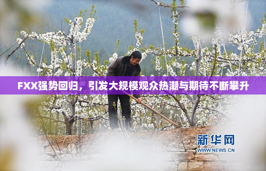FXX强势回归，引发大规模观众热潮与期待不断攀升