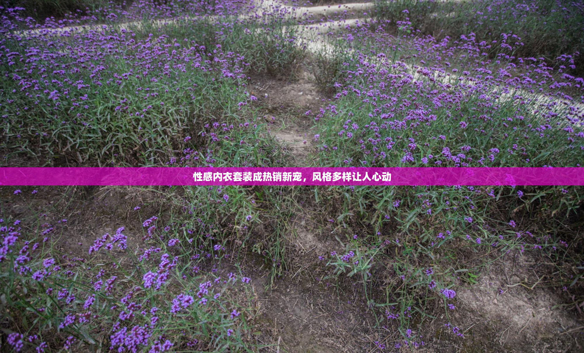 性感内衣套装成热销新宠，风格多样让人心动