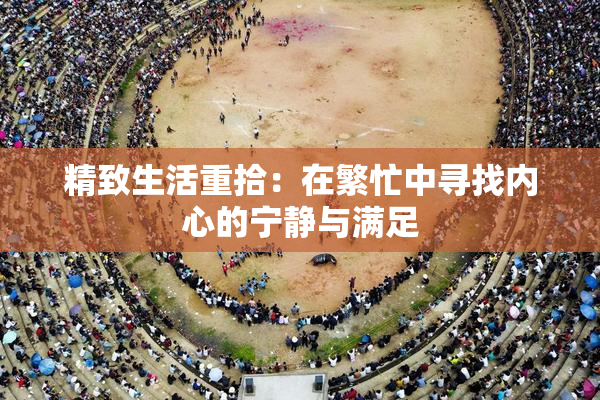 精致生活重拾：在繁忙中寻找内心的宁静与满足