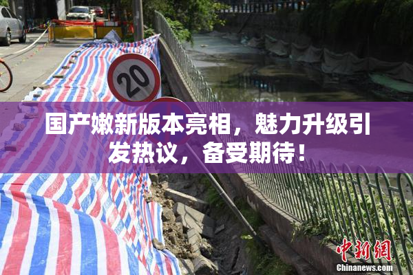 国产嫩新版本亮相，魅力升级引发热议，备受期待！
