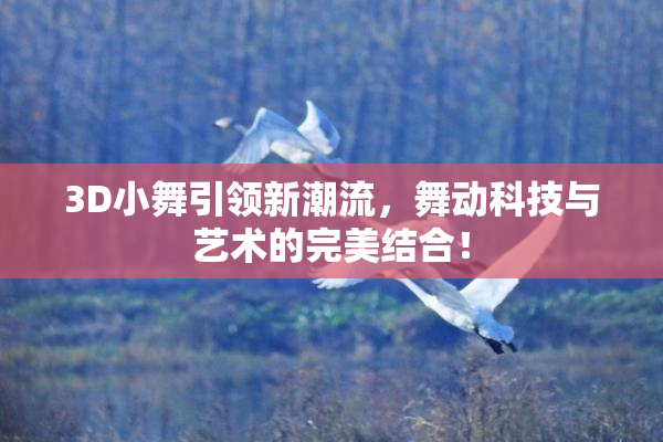 3D小舞引领新潮流，舞动科技与艺术的完美结合！