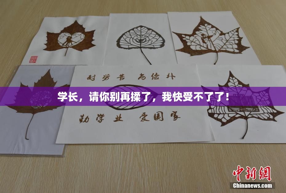 学长，请你别再揉了，我快受不了了！