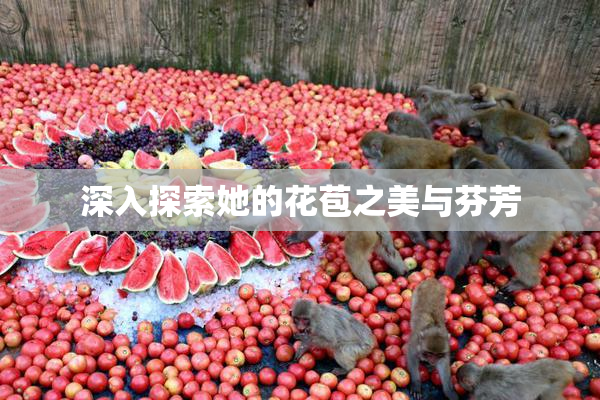 深入探索她的花苞之美与芬芳